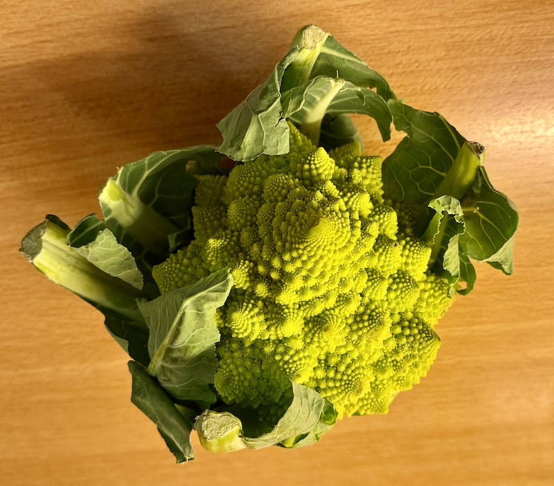 Romanesco1